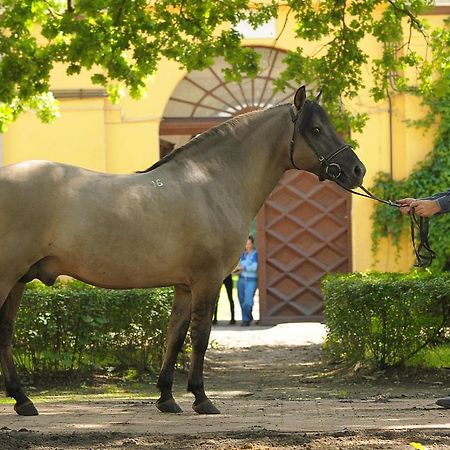 ホテル Stado Ogierow Sierakow シェラクフ エクステリア 写真